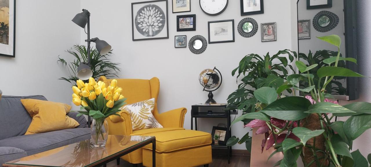Apartamentos Los Descalzos Free Parking Ронда Екстериор снимка