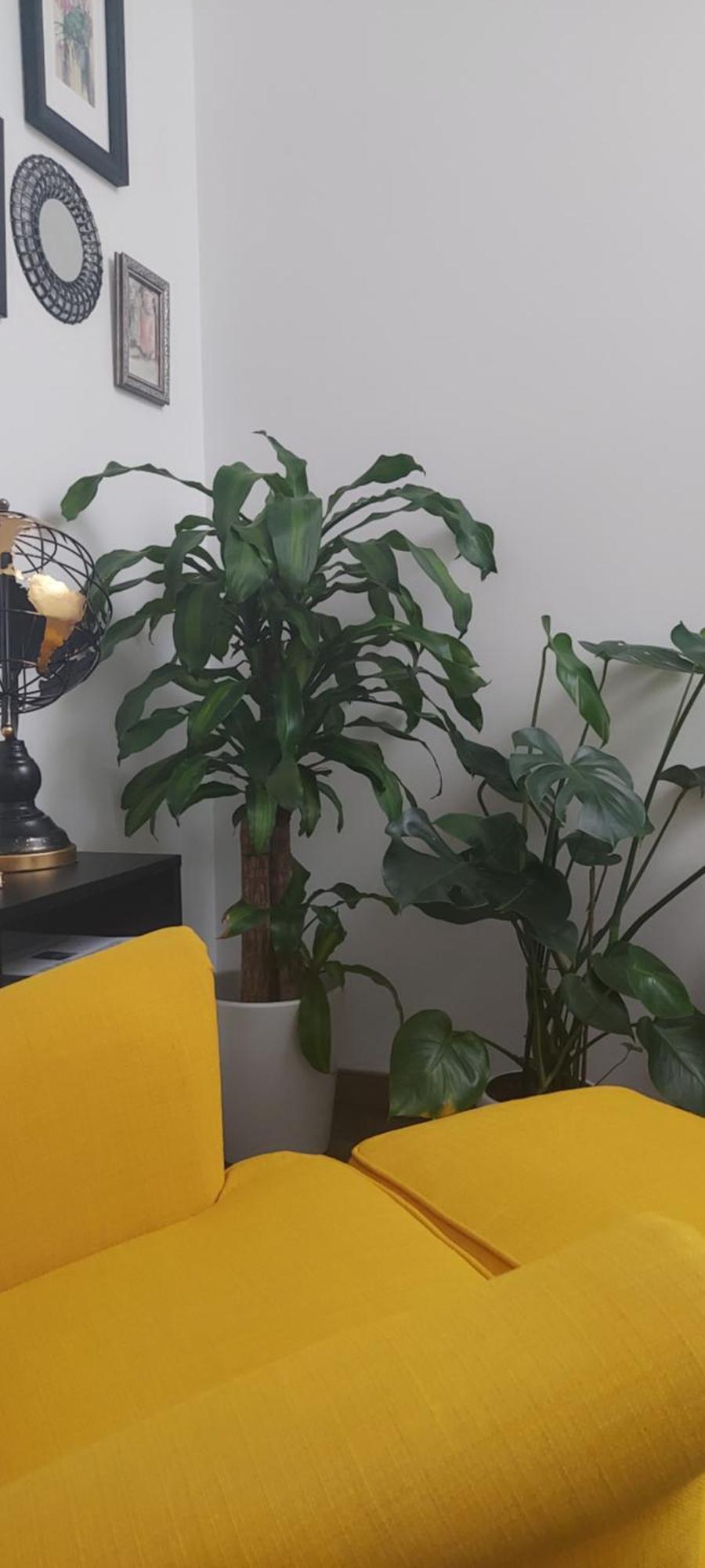 Apartamentos Los Descalzos Free Parking Ронда Екстериор снимка
